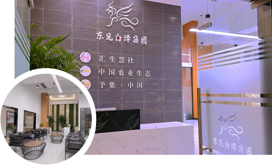 公司简介